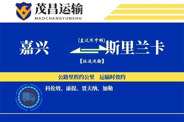 嘉兴到斯里兰卡物流专线 | 空运海运双清包税 | 门到门国际物流服务